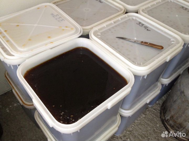 Алтайский мед