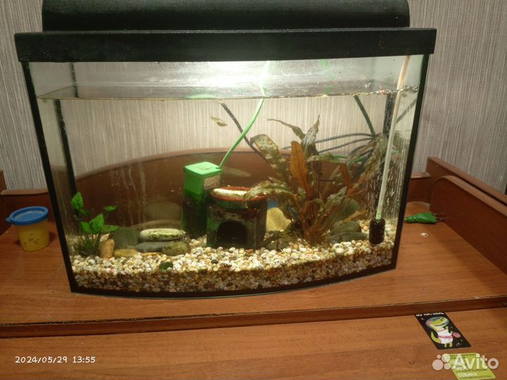 Аквариум