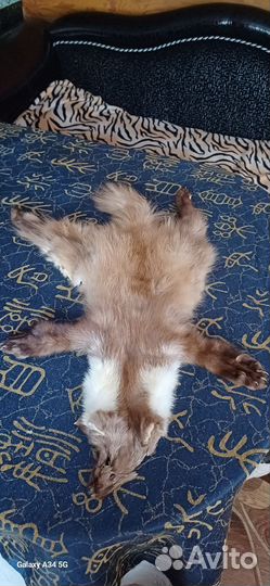 Шкуры из лисы