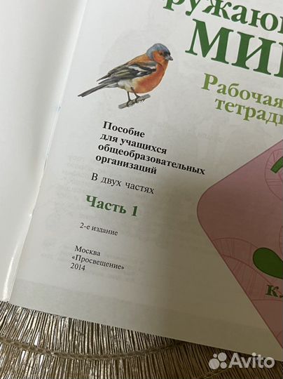 Рабочая тетрадь 3 класс школа России окр.мир
