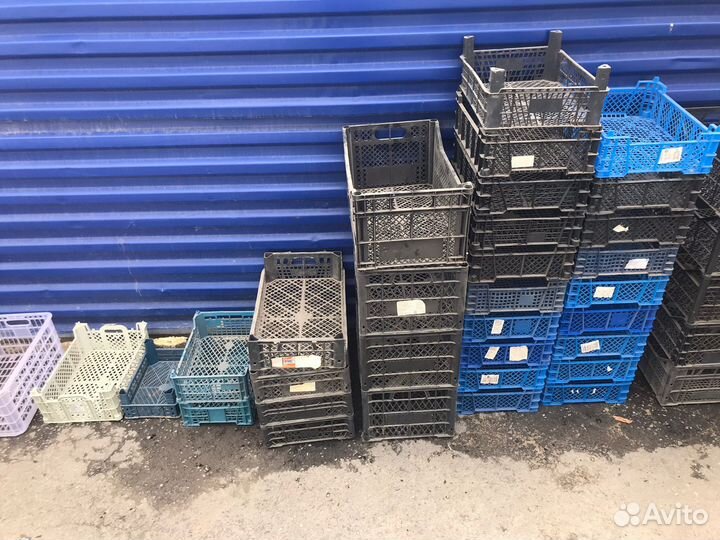 Ящик под овощи