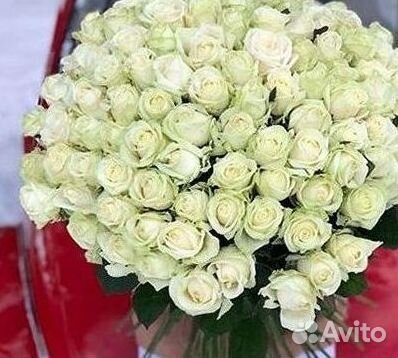 Розы высокие Доставка цветов