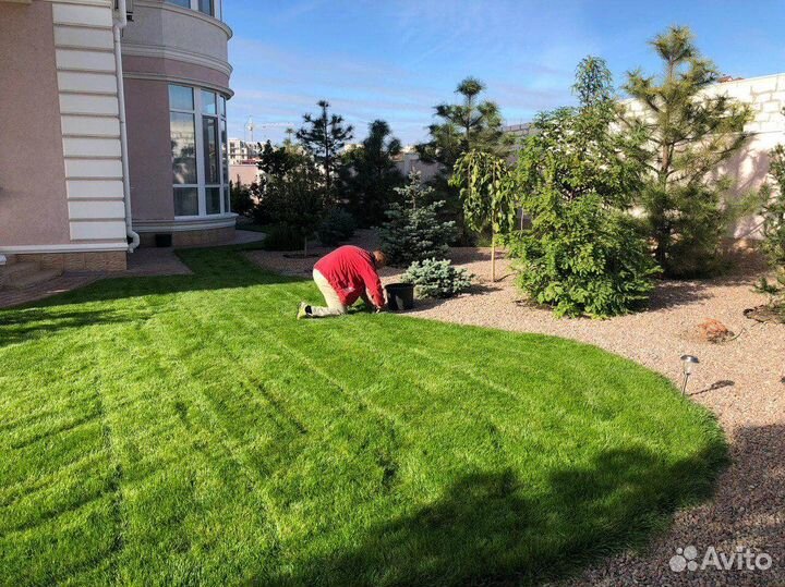 Рулонный газон, укладка рулонного газона