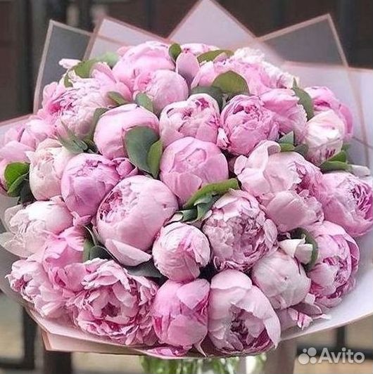 Пионы Букет пионов