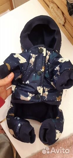 Костюм для маленьких собак