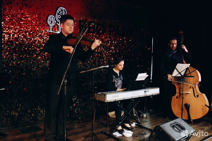 Музыканты на свадьбу, скрипач на свадьбу