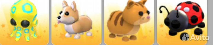 Петы адопт ми за рубли