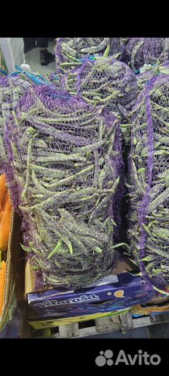 Фасоль стручковая