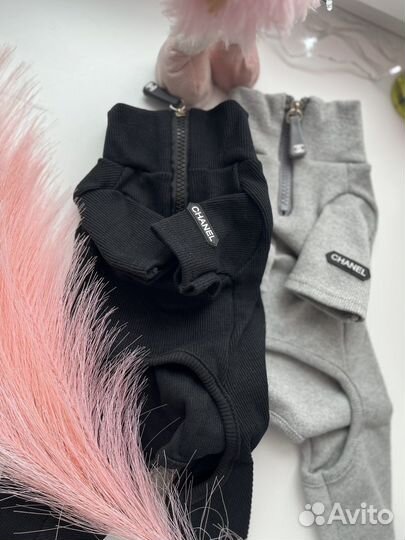 Gucci одежда для собак