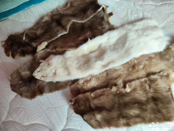 Мех норки шкурки