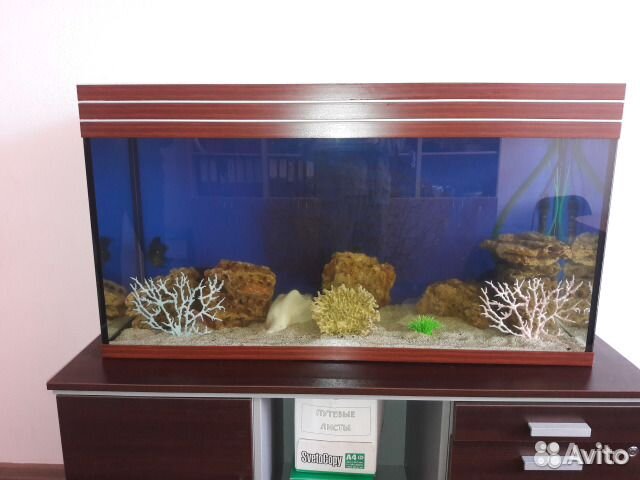 Аквариум-Обслуживание-Чистка-Дизайн-Продажа-Ремонт