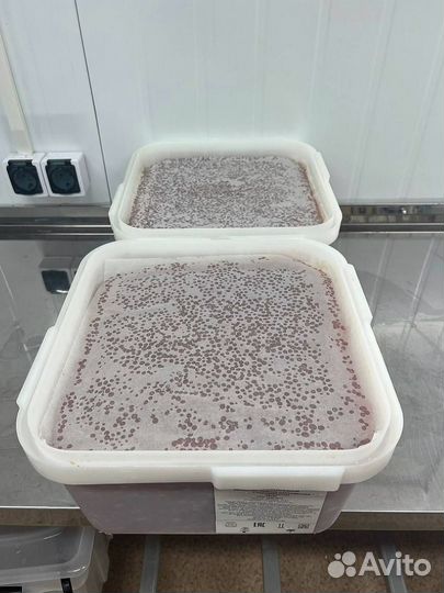 Красная икра опт