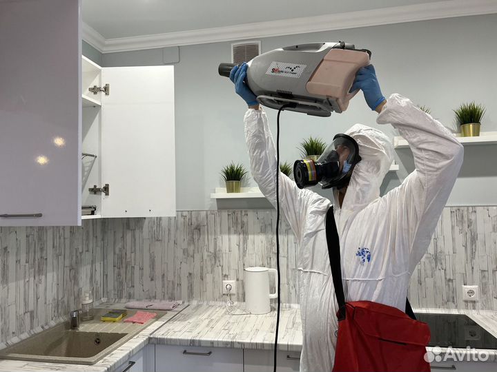 Уничтожение клопов, тараканов. Дезинсекция
