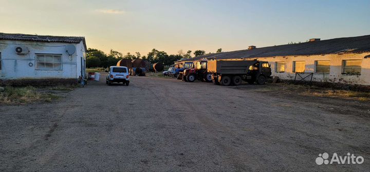 Молочная Ферма крс