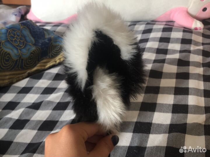 Кошачьи ушки