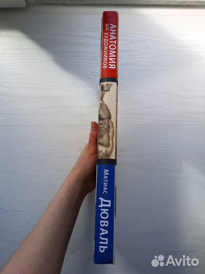 Анатомия для художников (Матиас Дюваль)