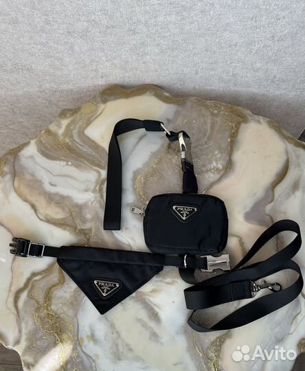 Ошейник и поводок prada