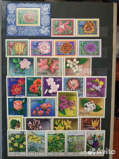 Кляссер с коллекцией марок