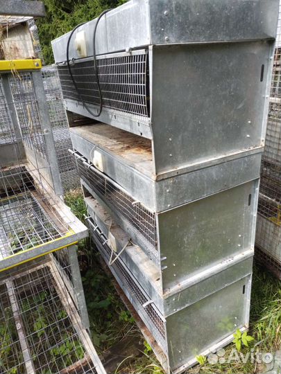 Клетки для кур несушек и бройлеров, брудеры