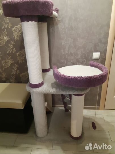 Всё для кошек