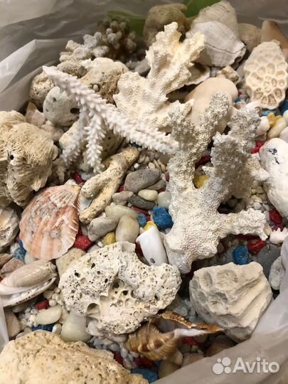 Аквариум 10 и 20л, фильтр,камни,ракушки,домики