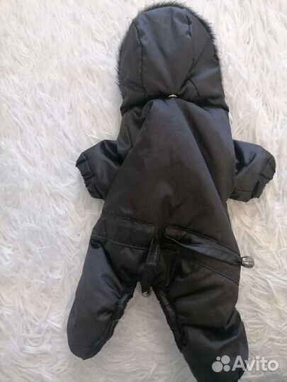 Комбинезон для собак мелких пород