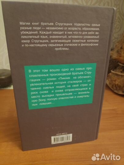 Пикник на обочине Стругацкие