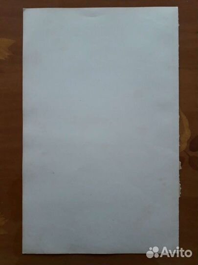 Дания и Скандинавия, 1909 год