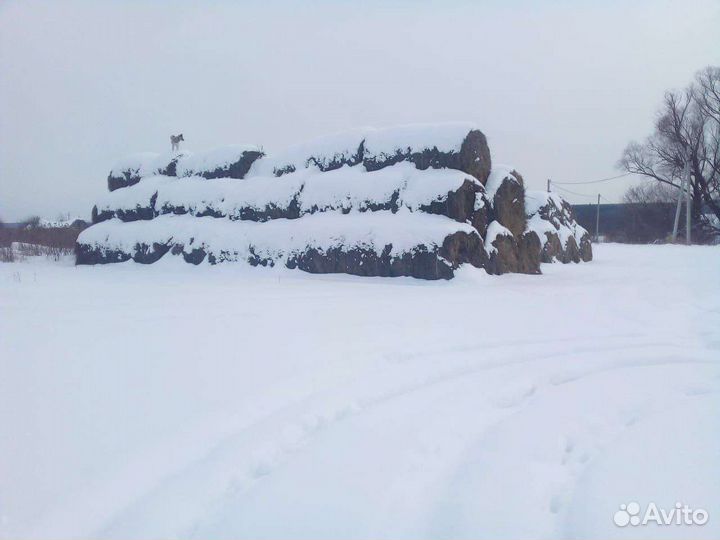 Сено в тюках