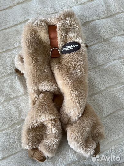 Одежда на собак мелких пород