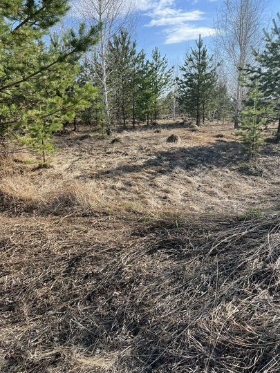 Участок 14 сот. (ИЖС)