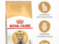 Royal Canin British Shorthair Adult, 2 кг