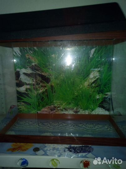 Аквариум со стойкой