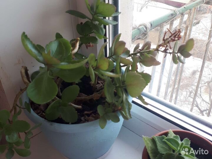 Распродажа в связи с переездом