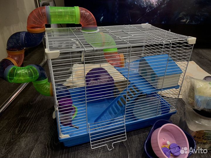 Большая клетка для хомячка джингарика крыски