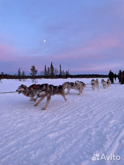 Тур из Мурманска 