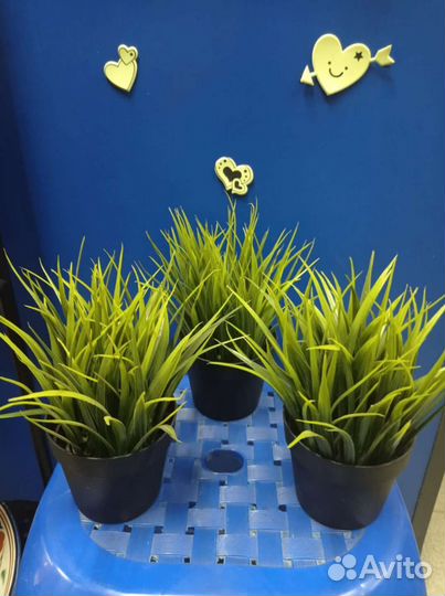 Искусственные цветы. Икеа