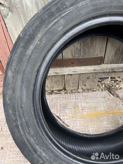 Cordiant Professional DL-1 205/55 R16