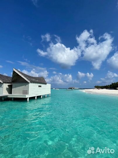 Горящий Тур на Мальдивы
