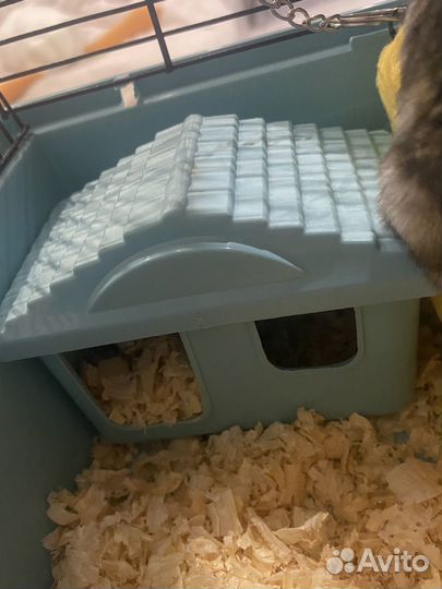 Клетка для хомяка