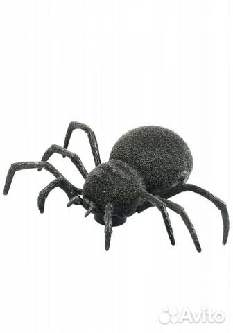 Паук на пульте управления