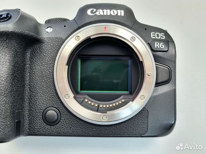 Фотоаппарат Canon EOS R6 body