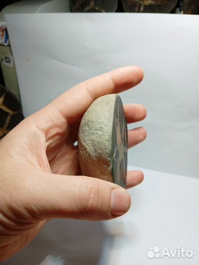 Септария камень оберег