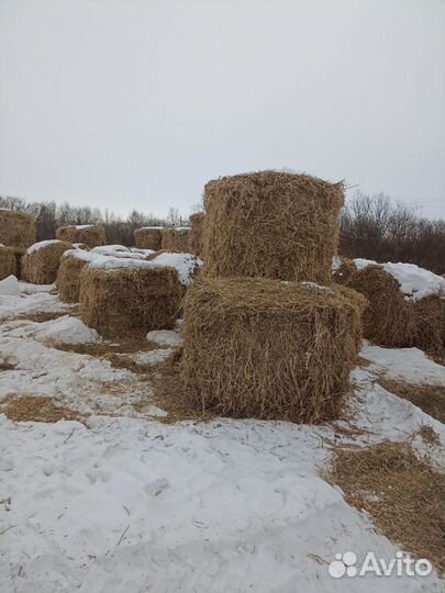 Солома соевая, пшеничная