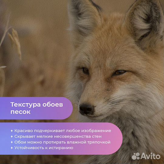 Дизайнерские фотообои 