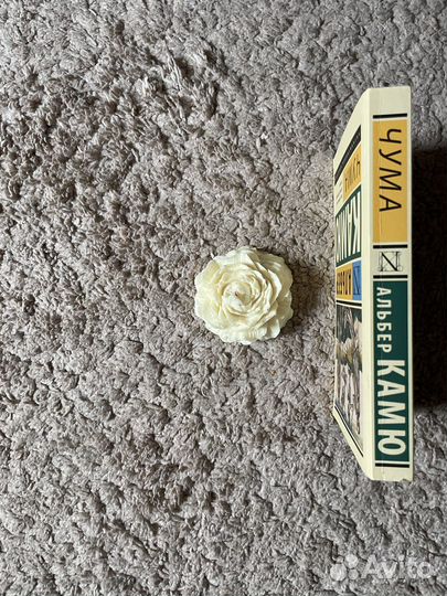 Альбер Камю 