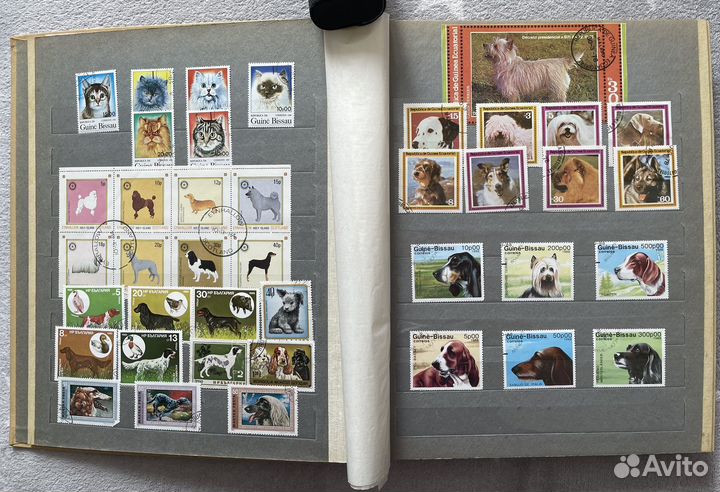 Альбом почтовых марок