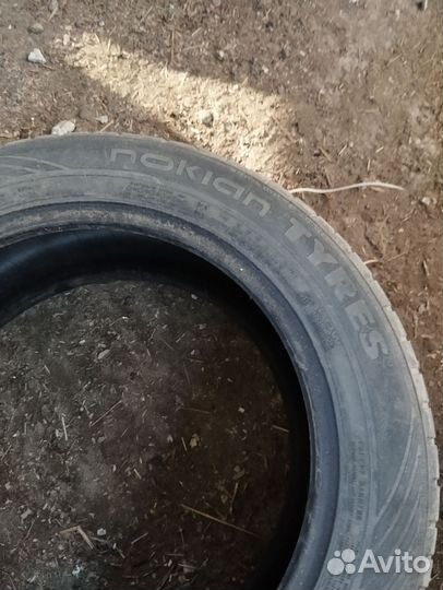 Dunlop All Season Maxx AS1 205/50 R16