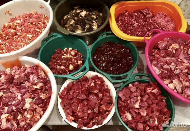 Натуральное питание для собак