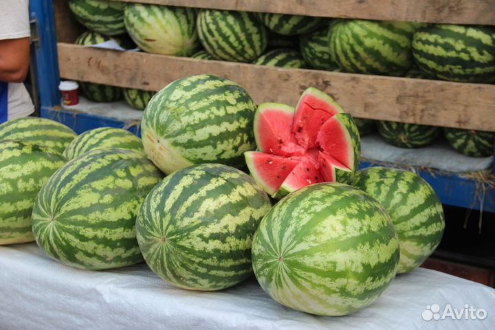 Арбуз оптом